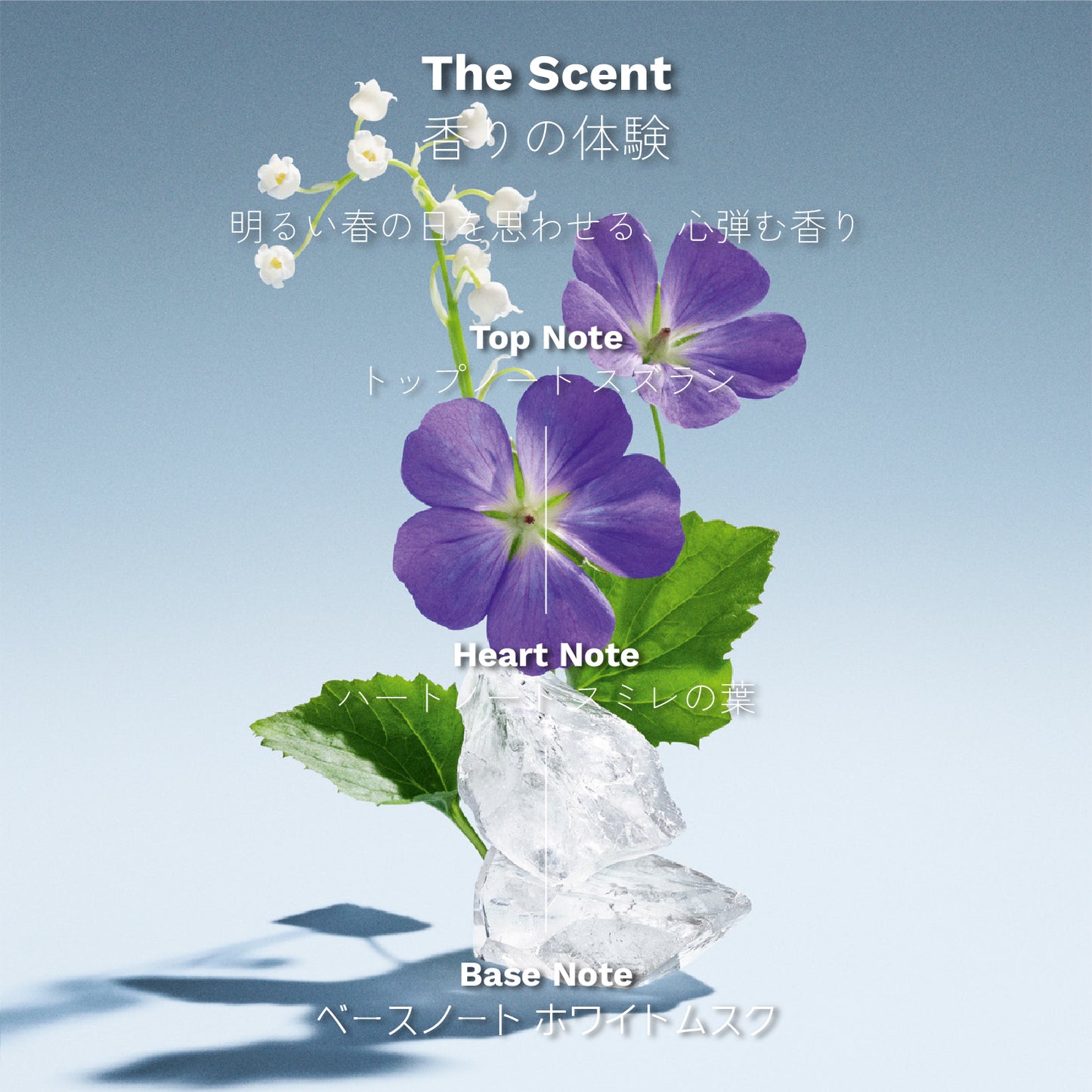 ミュウミュウ L'Eau Bleue オードパルファム 100ml
